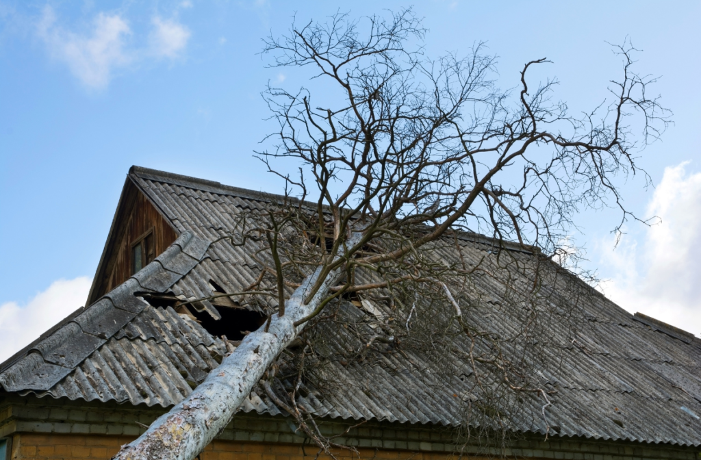 Roof Repairs